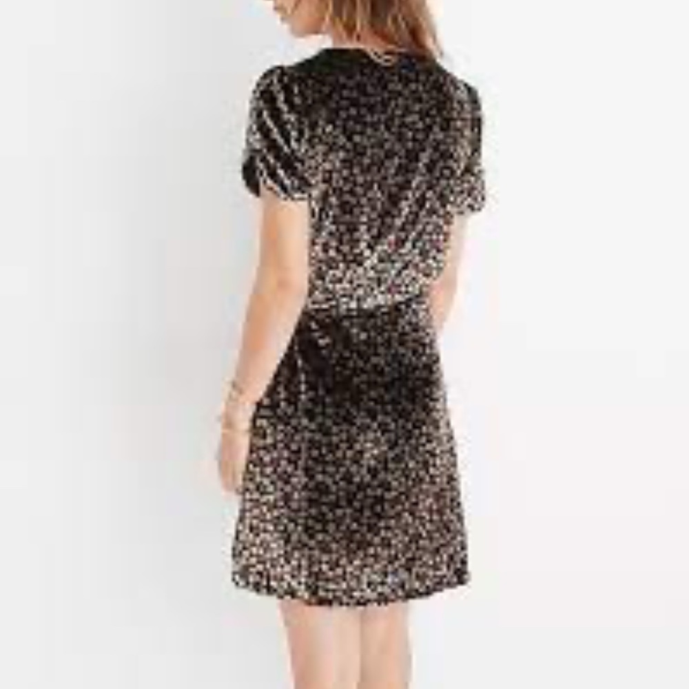Madewell Velvet Floral Dress - Picture 2 of 3